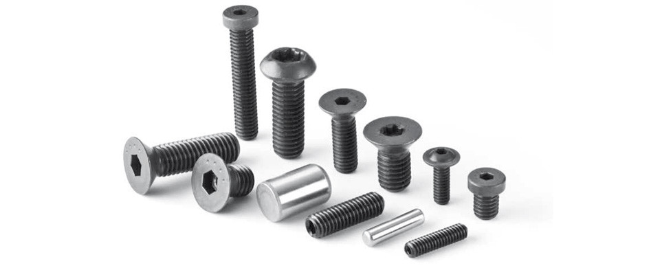 quality Stainless Steel Metal Screws Service