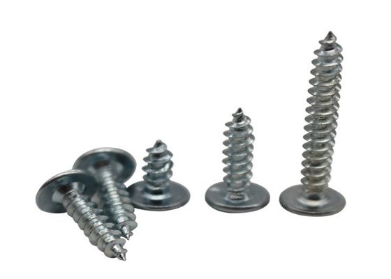 SGS Self Tapping Thread SS304 Self Tapping Steel Bolts