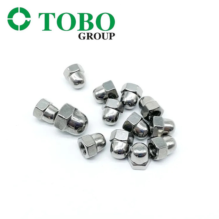 304 Stainless Steel Hex Cap Nut DIN 1587 Hexagon Domed Cap Nut