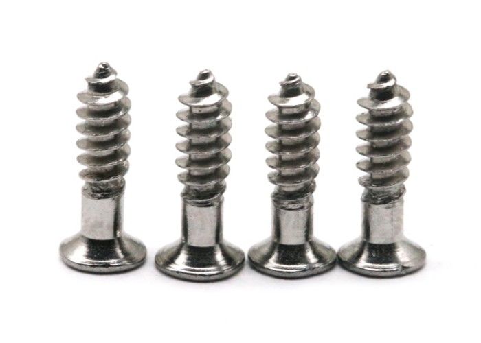 SGS Self Tapping Thread SS304 Self Tapping Steel Bolts