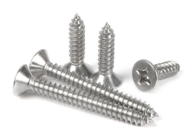 Ss304 Self Tapping Screws Stainless Steel Self Tapping Screws